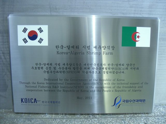 NO.91스텐D형(다이아몬드형)